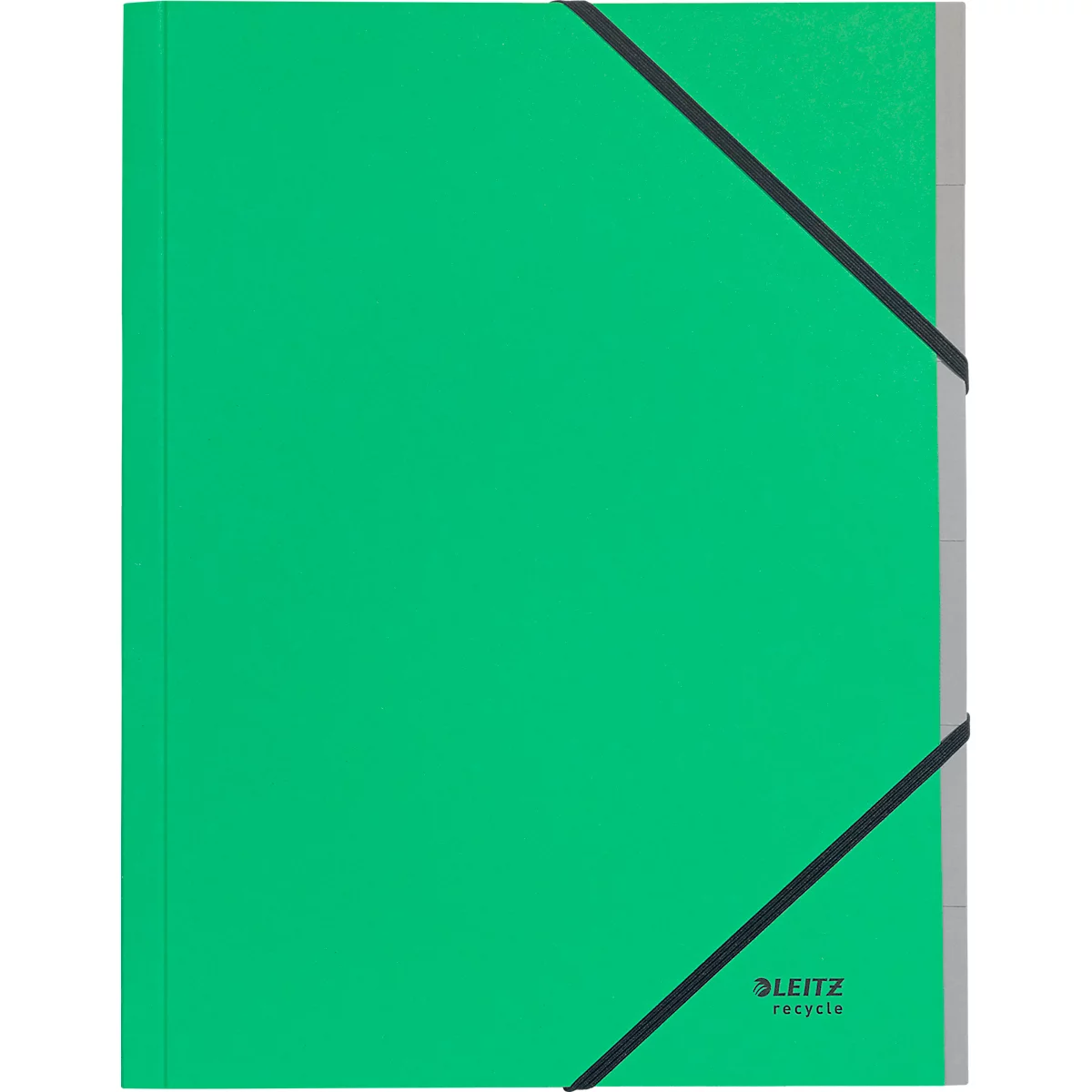 Grüner Leitz Ordner mit schwarzem Gummibandverschluss, graue Seiten. Logo unten rechts.