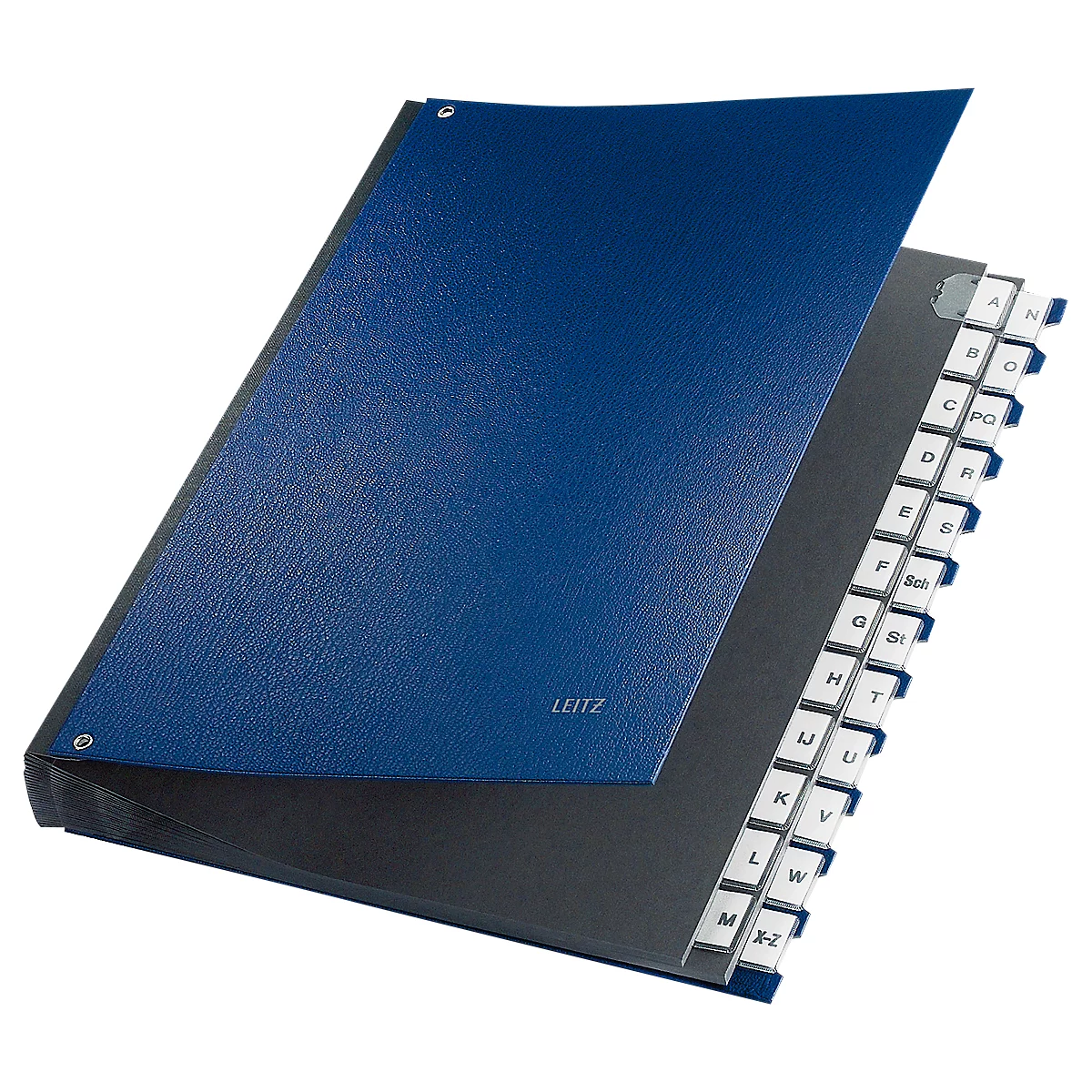 LEITZ® sorteermap, voor A4, alfabetisch, 26 waaiers, grijs karton, blauw