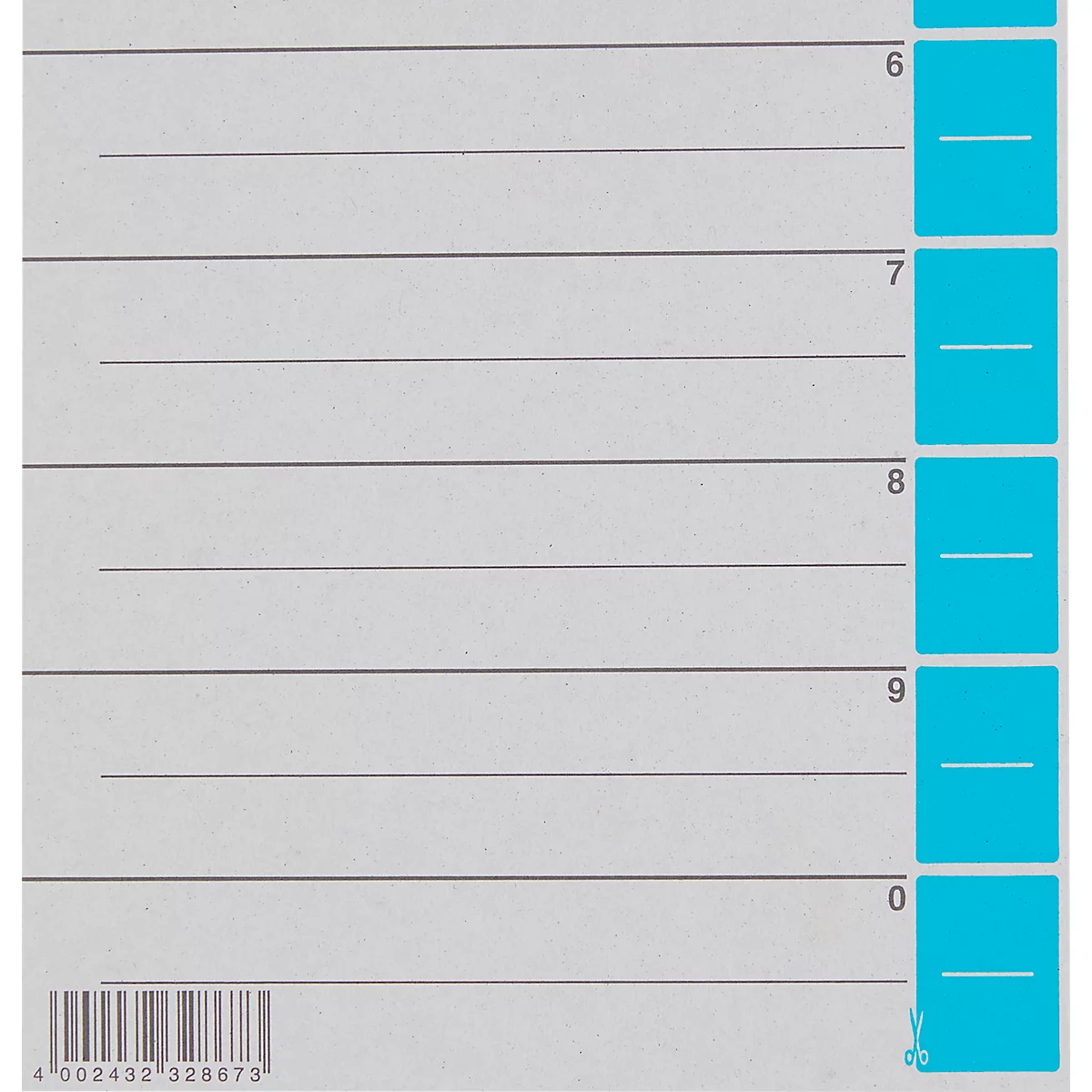 LEITZ® Trennblätter A4 1652, zur freien Verwendung, 25 Stück, hellblau