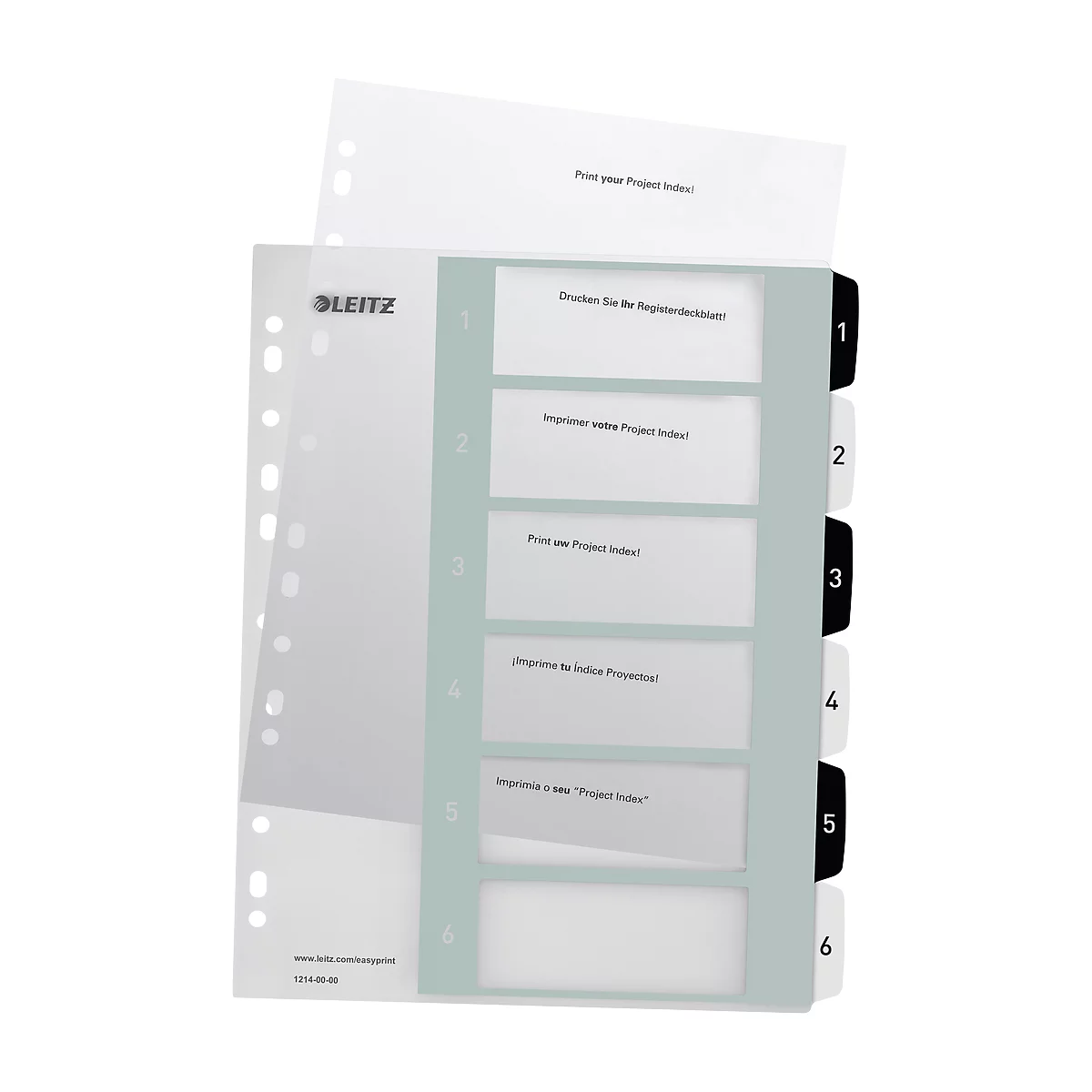Ordnerregister mit farbigen Reiter und Beschriftungen. Daneben Lochblätter und ein bedrucktes Deckblatt.
