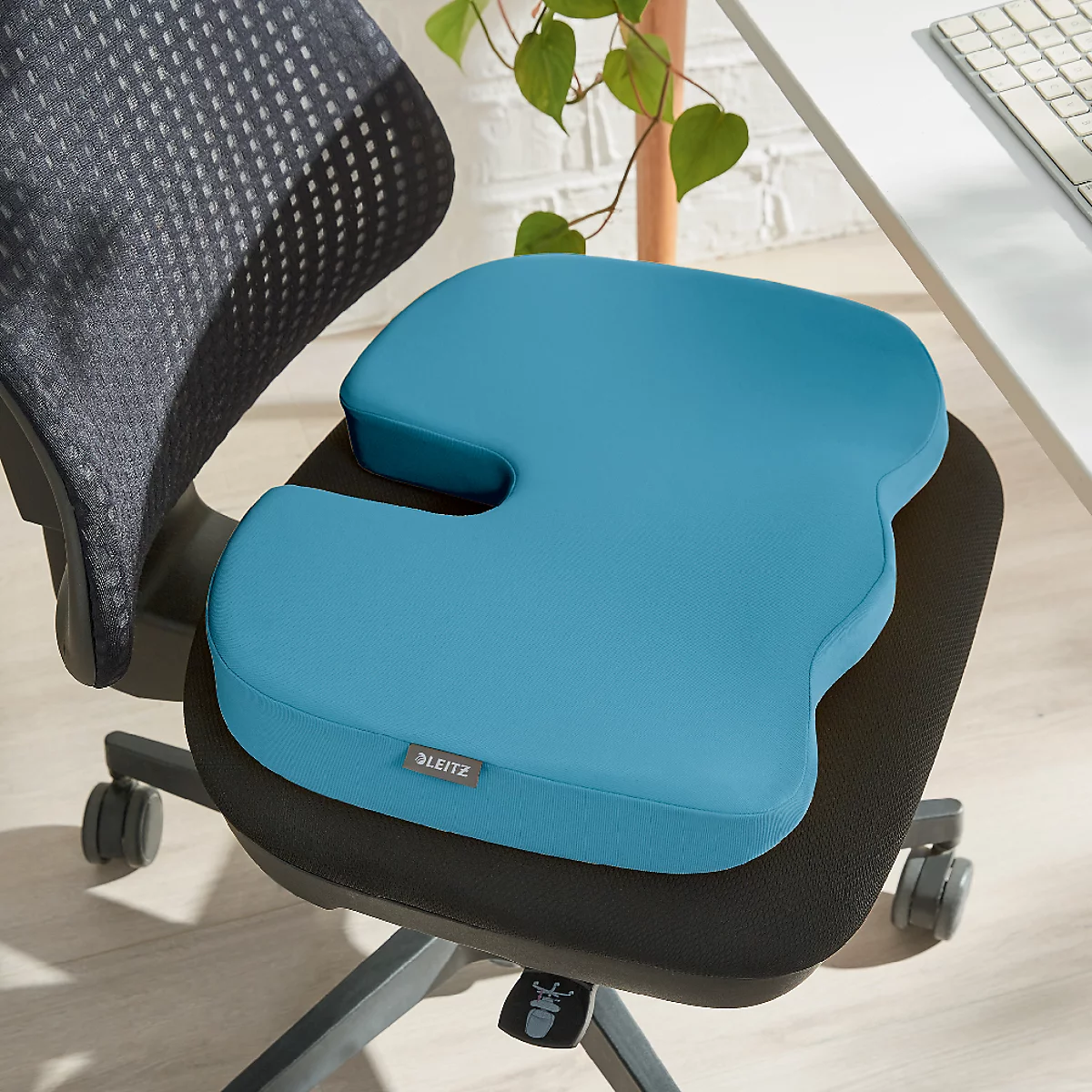 Blauw zitkussen op zwarte bureaustoel. Het kussen heeft een ergonomische vorm. De stoel staat voor een tafel en een muur met plant.