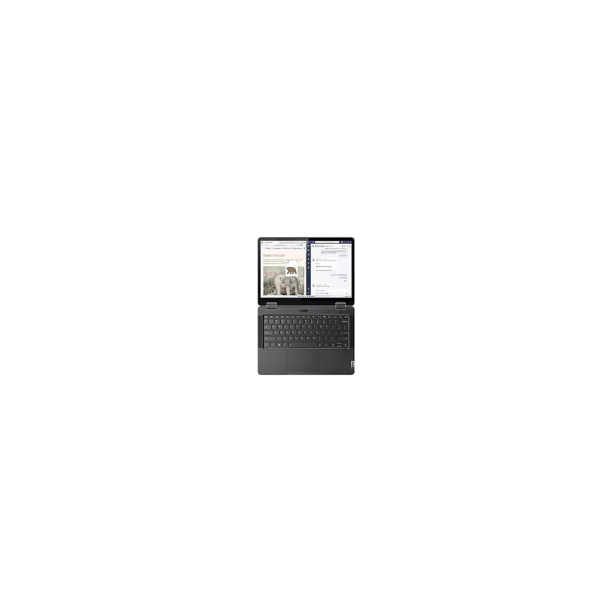 Ein geöffnetes, graues Laptop mit geöffneten Anwendungen: Browser mit Bärenbild und Chatfenster. Der Laptop ist auf weißem Hintergrund abgebildet.