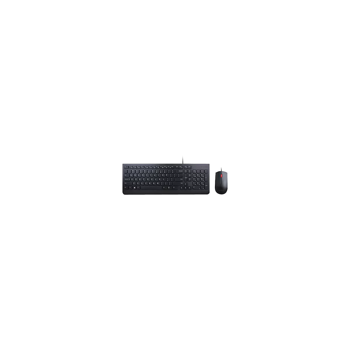 Lenovo Essential Wired Combo - Tastatur-und-Maus-Set - US mit Euro-Symbol