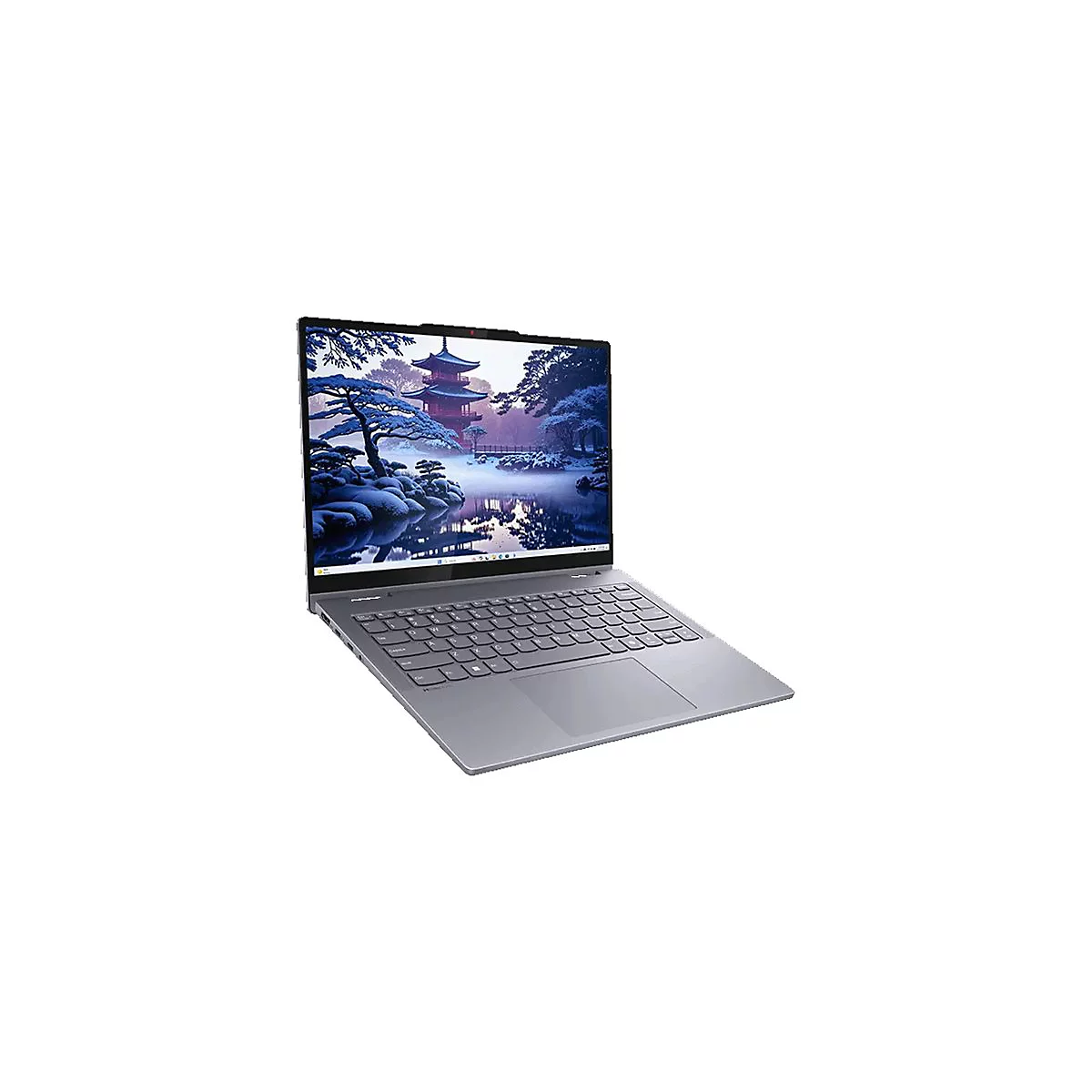Grauer Laptop mit geöffnetem Bildschirm. Auf dem Bildschirm ist eine Winterlandschaft mit einem Tempel und Bäumen zu sehen.