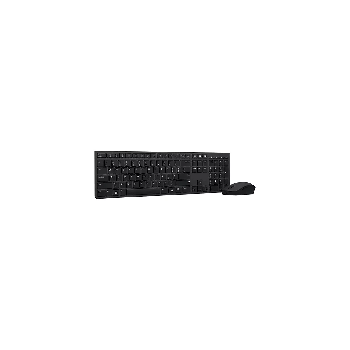 Lenovo Professional - Tastatur-und-Maus-Set - kabellos - 2.4 GHz - Deutsch - Brown Box