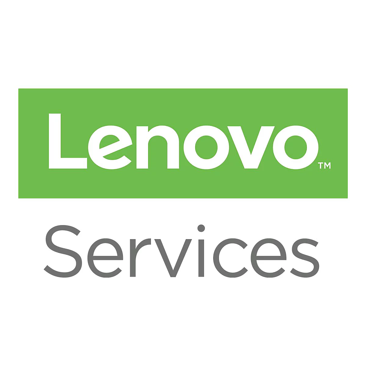 Lenovo Technician Installed Parts - Installation - 4 Jahre - Vor-Ort - Reaktionszeit: am nächsten Arbeitstag - für Storage D1212 4587; D1224 4587
