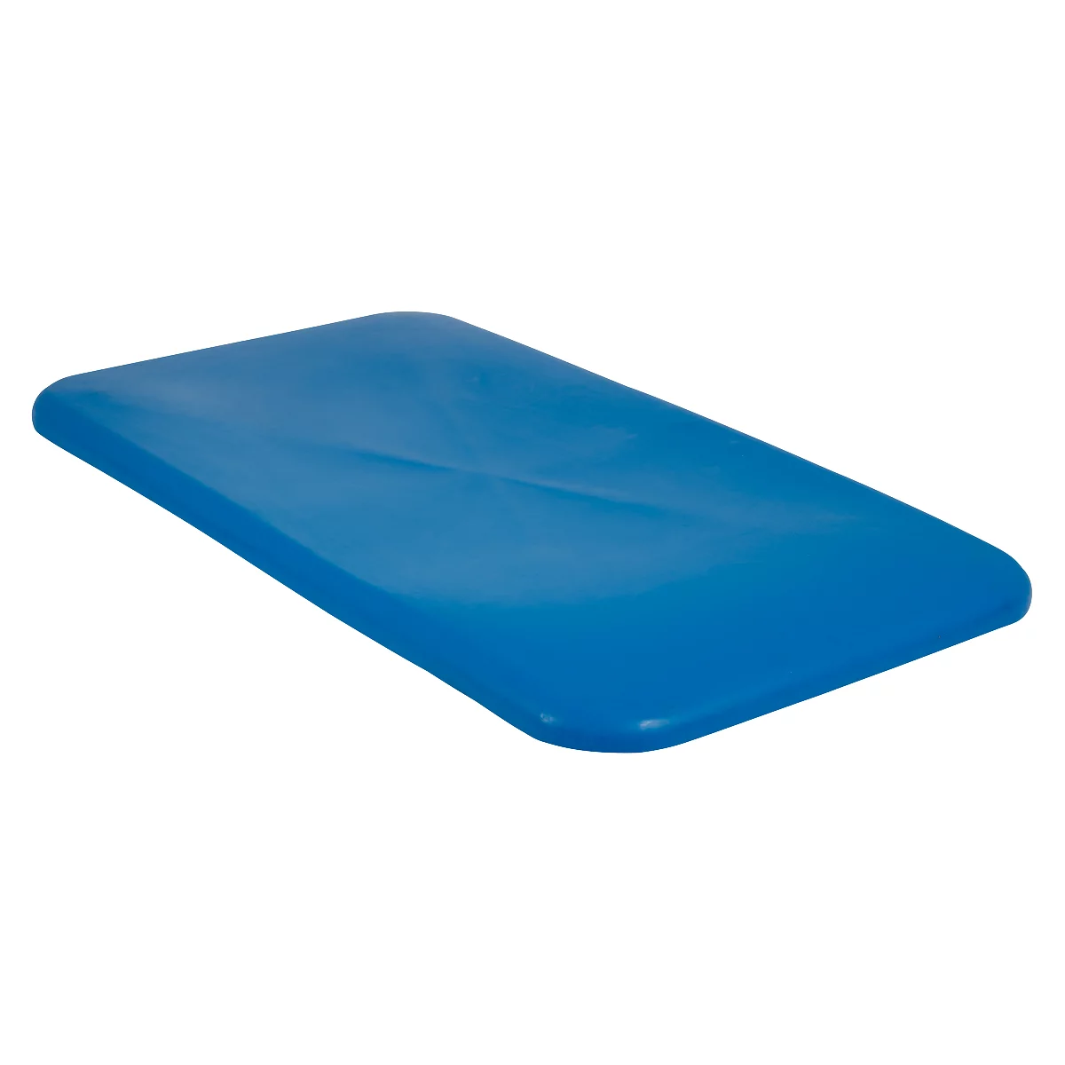 Blue, rectangular plastic balance board. Rounded corners, slight indentation in the middle.