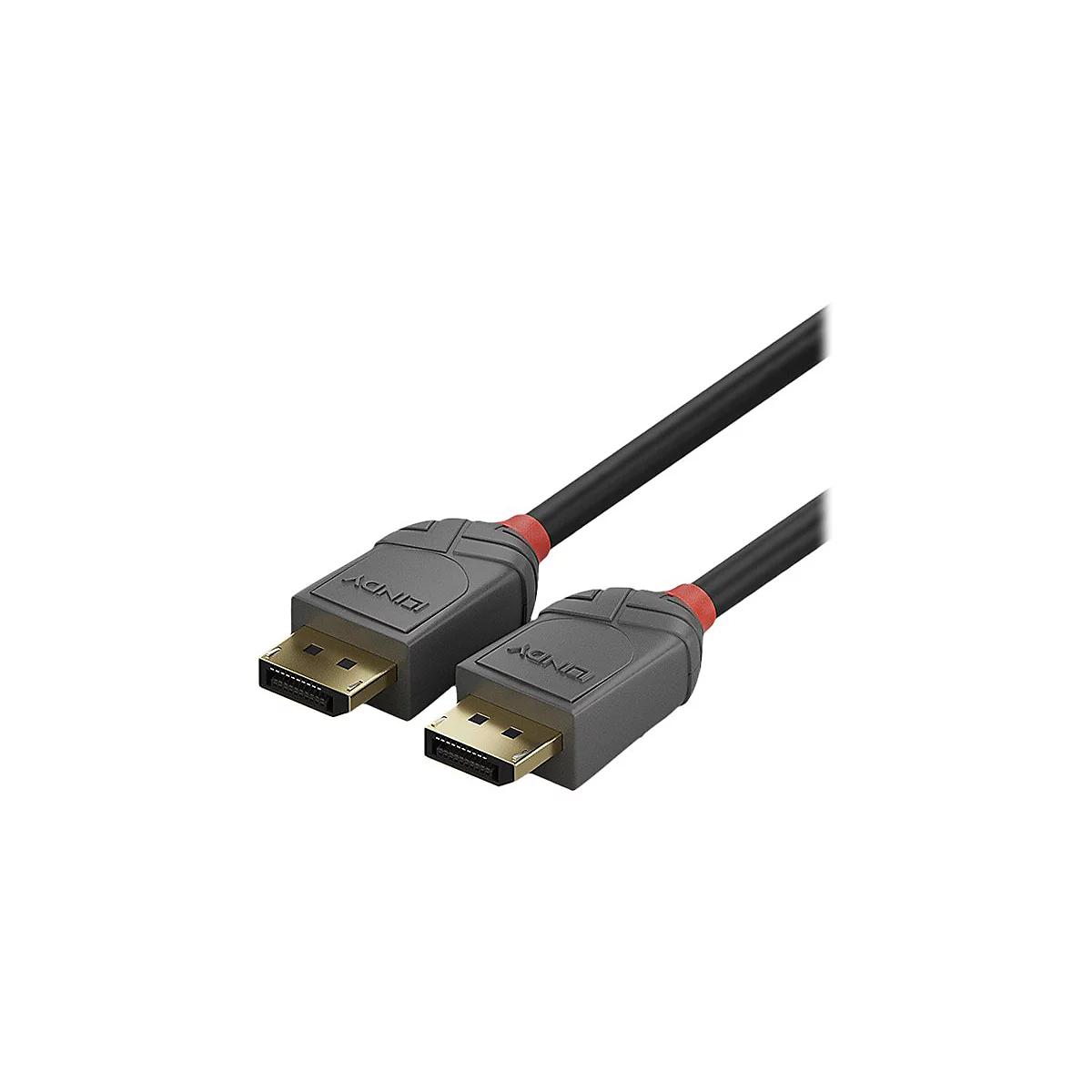 Deux câbles DisplayPort noirs avec des connecteurs gris, des accents rouges et des contacts dorés. 'LINDY' est écrit sur les connecteurs.