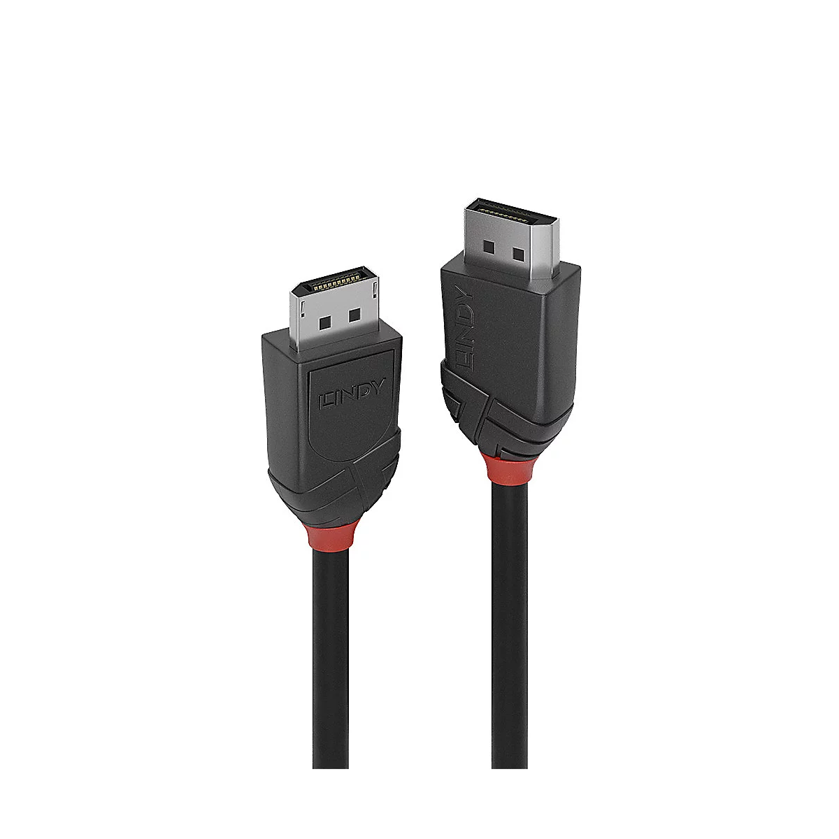 Deux câbles noirs Lindy avec des touches de rouge et des connecteurs DisplayPort. L'un d'eux porte l'inscription "LINDY".