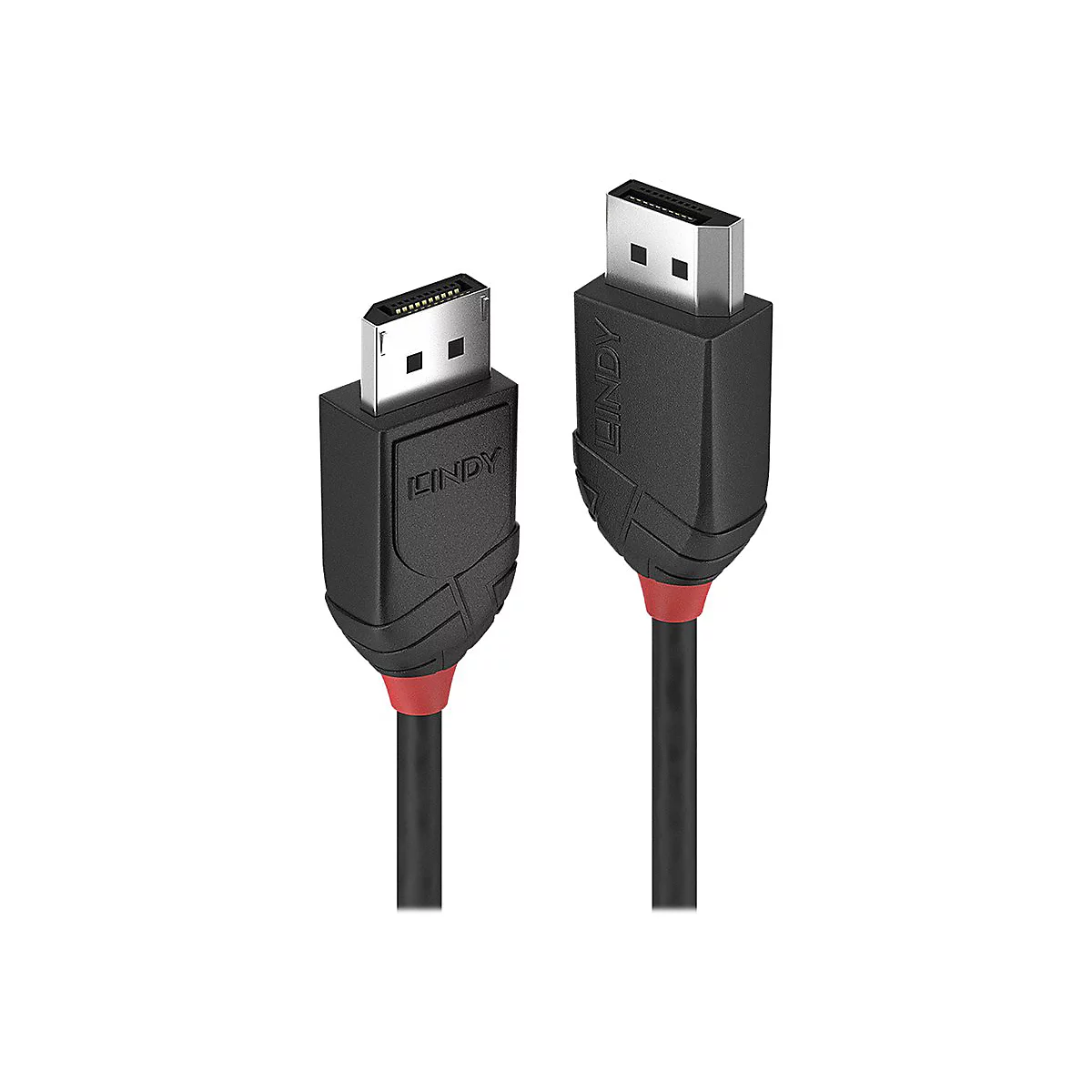 Deux câbles DisplayPort noirs avec des touches de rouge. Le texte "LINDY" est visible sur les connecteurs.