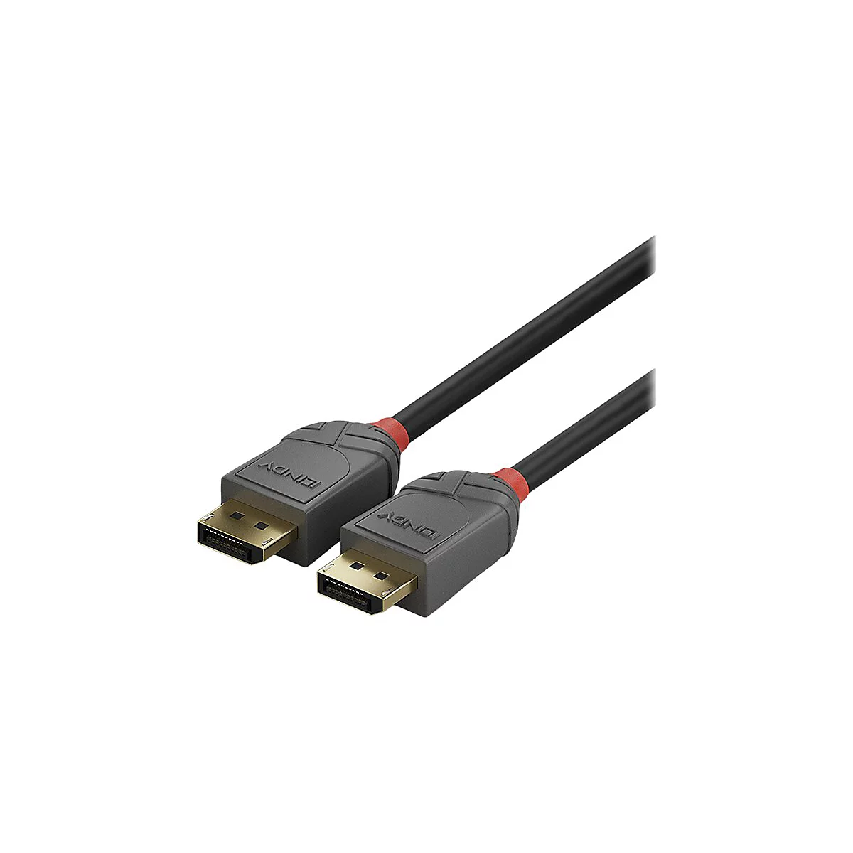 Zwei schwarze DisplayPort Kabel, die aus einem grauen Stecker mit rotem Akzent hervorgehen. Auf dem Stecker steht "LINDY".
