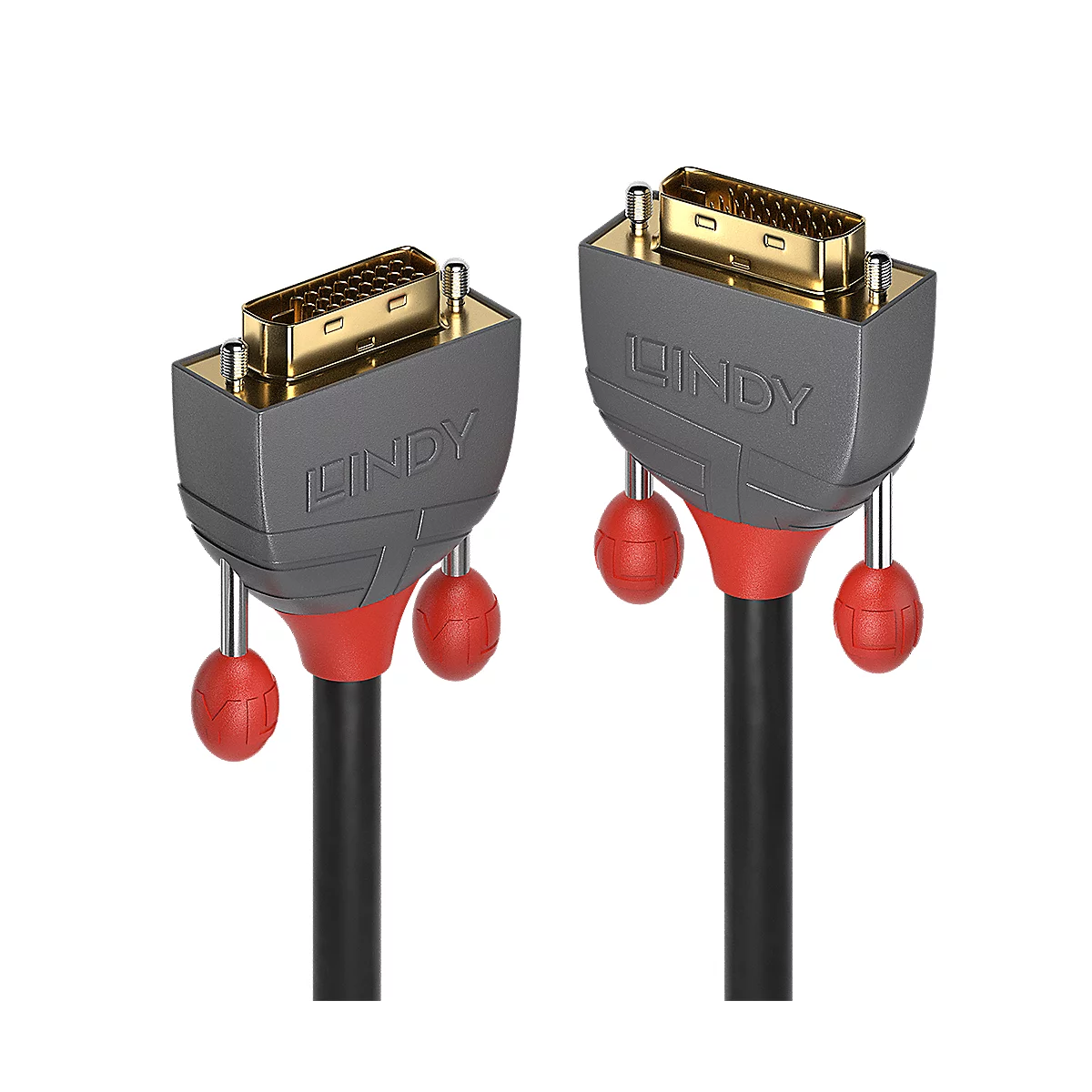 Zwei DVI-Kabel. Graue Stecker mit goldenen Pins, roter Griff, schwarzes Kabel. Der Schriftzug "LINDY" ist sichtbar.