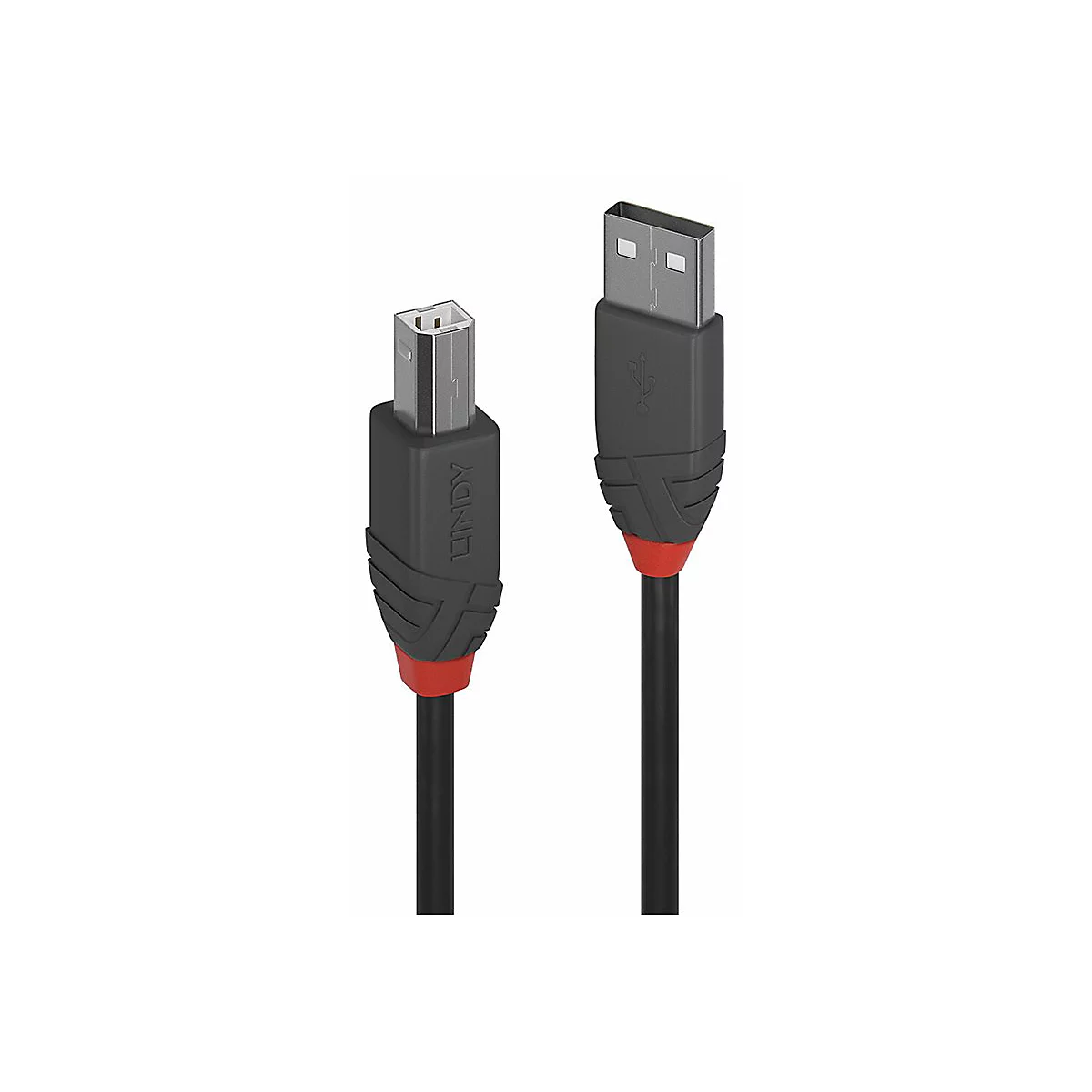 Schwarzes USB-Kabel mit roten Akzenten und LINDY-Logo. USB-A- und USB-B-Stecker.