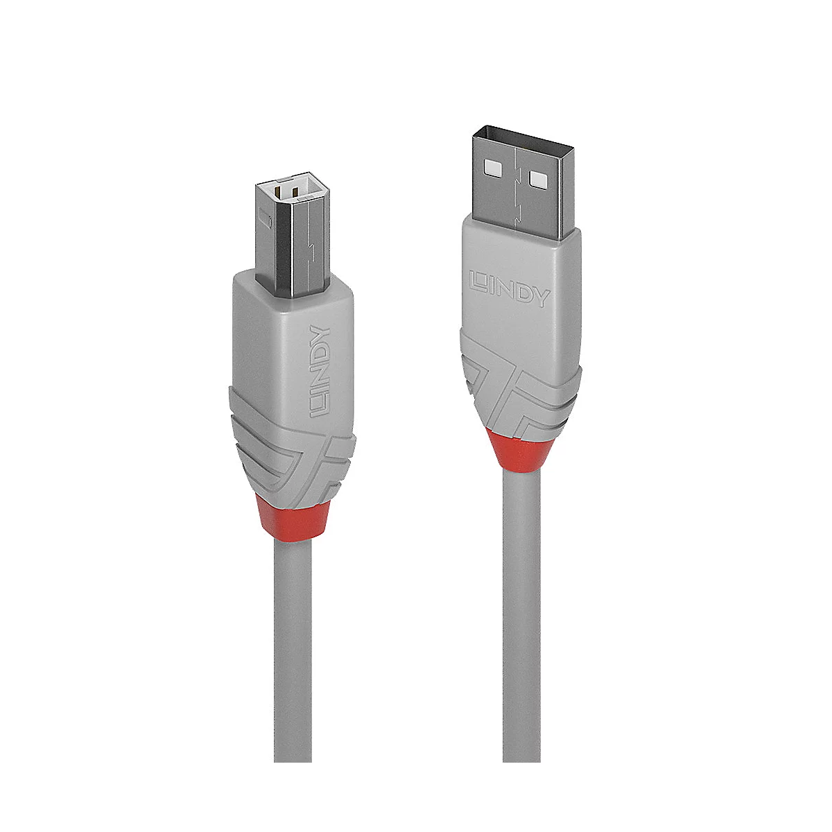 Ein graues USB-Kabel von LINDY, links Stecker Typ B, rechts Typ A. Roter Akzent am Übergang zum Kabel.