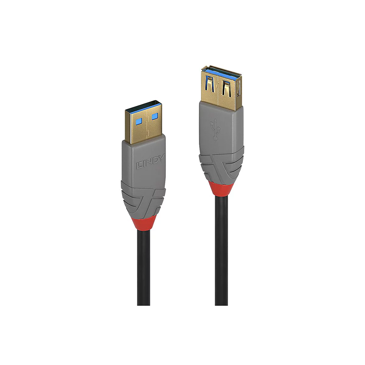Zwei USB-Kabel mit grauen und roten Akzenten, die von der Marke LINDY stammen. Die Stecker sind goldfarben und die Kabel schwarz.