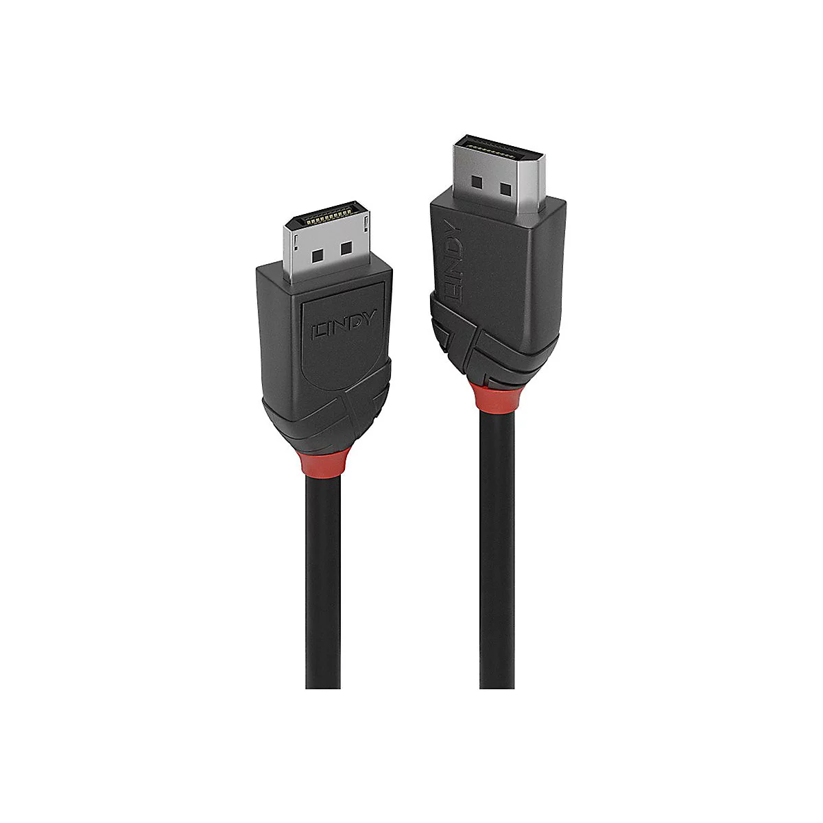 Deux câbles DisplayPort LINDY noirs avec des accents rouges. Câbles avec connecteurs aux deux extrémités.