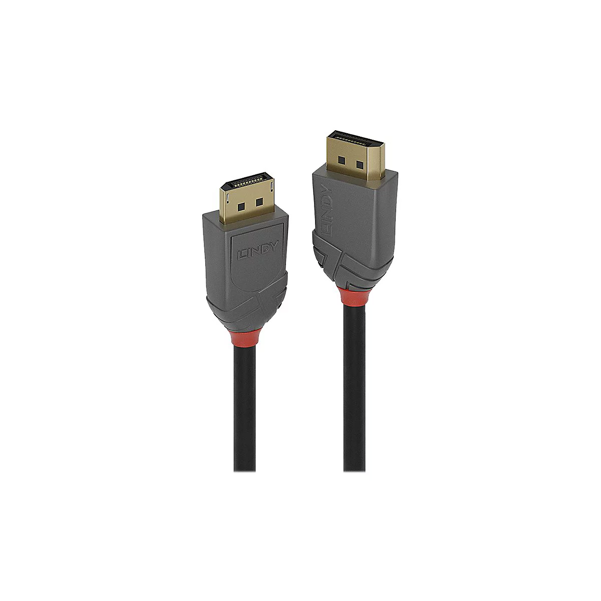 Deux câbles DisplayPort noirs Lindy. Connecteurs gris, détails rouges. Inscription 'Lindy'.