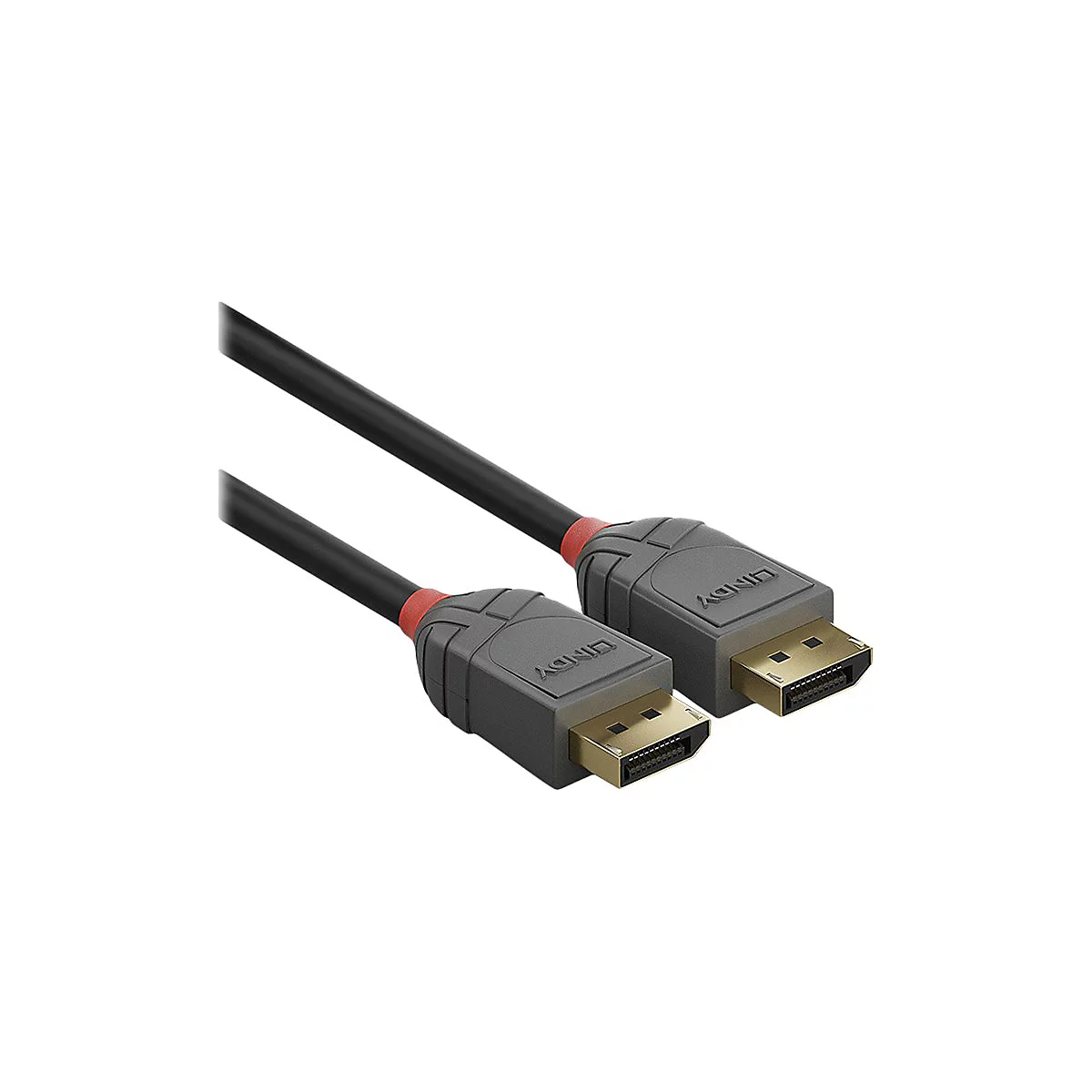 Un câble DisplayPort LINDY noir avec des connecteurs gris, des accents rouges et des connecteurs plaqués or.