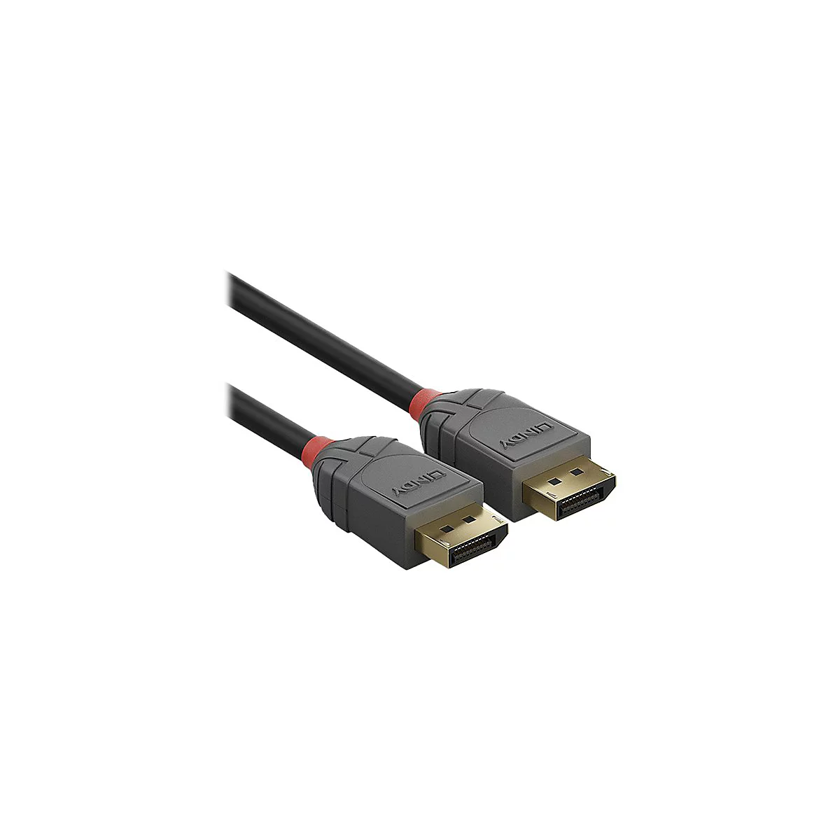 Câble LINDY noir avec connecteurs gris, contacts dorés et couleur d'accentuation rouge. Le câble DisplayPort est en gros plan sur fond blanc.