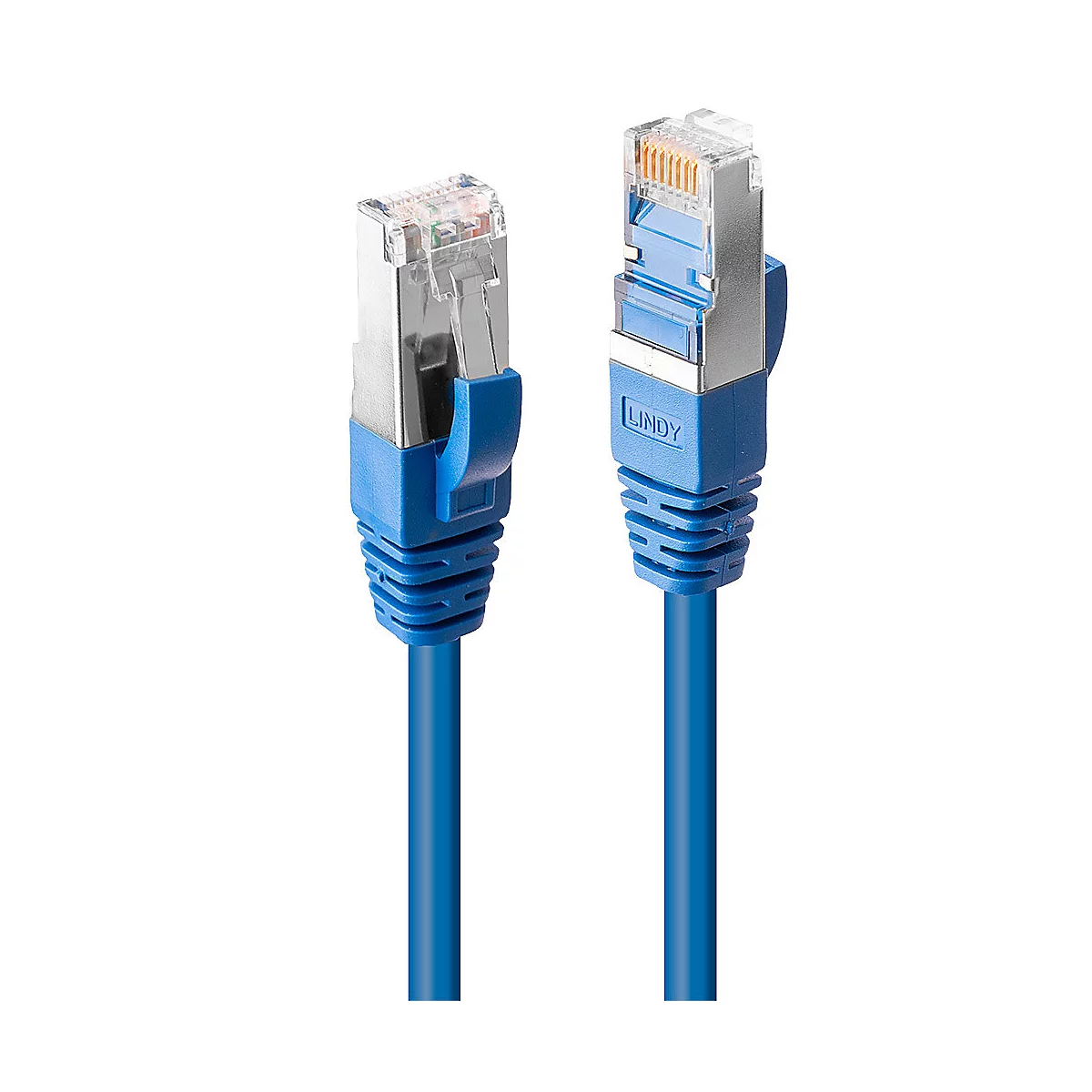 Zwei blaue Ethernet-Kabel auf weißem Hintergrund. Die Stecker sind aus transparentem Kunststoff und Metall.