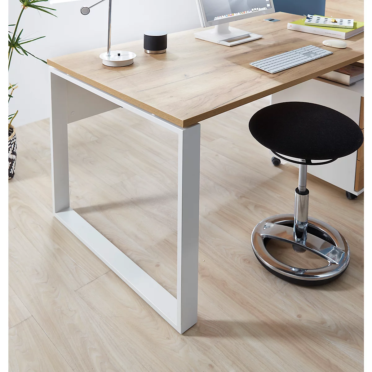 LIONI bureau, rechthoekig, sledepoot, B 1580 x D 790 x H 750 mm, wit/eiken Navarra