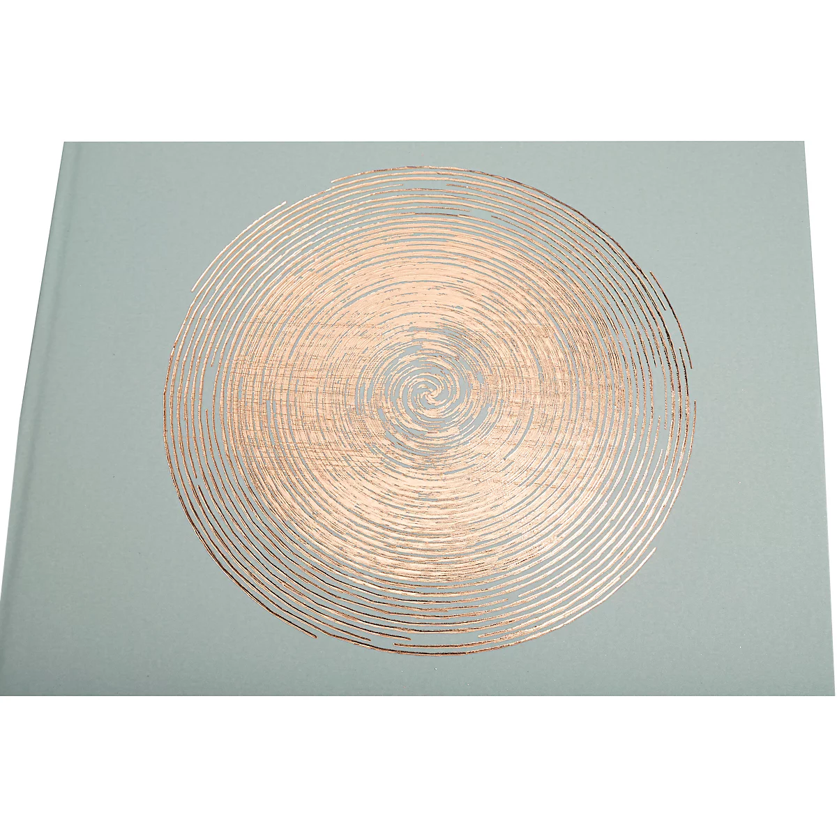 Livre bleu clair avec un motif en spirale cuivré sur la couverture.