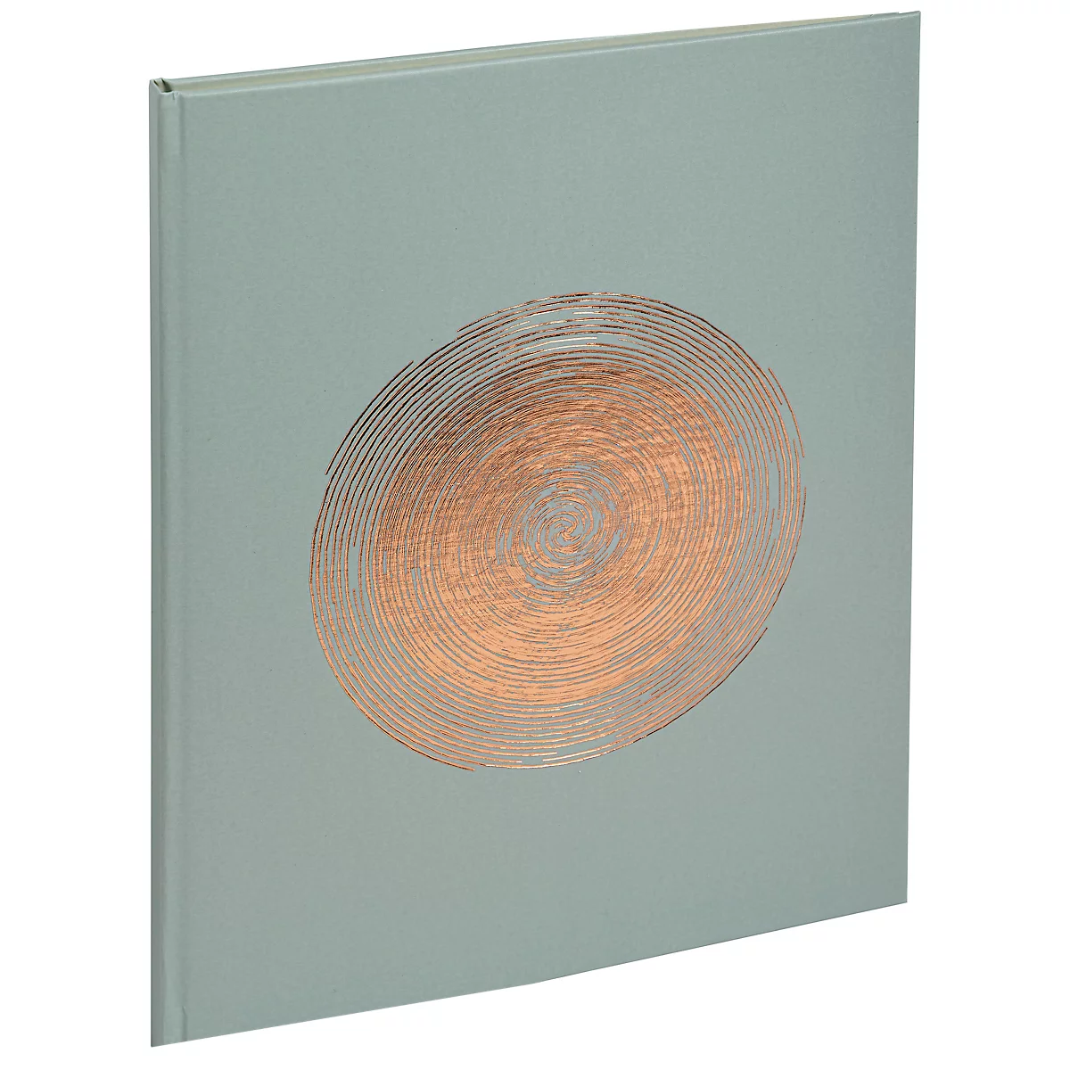 Un livre bleu clair, dont la couverture présente un motif en spirale en cuivre et argent.