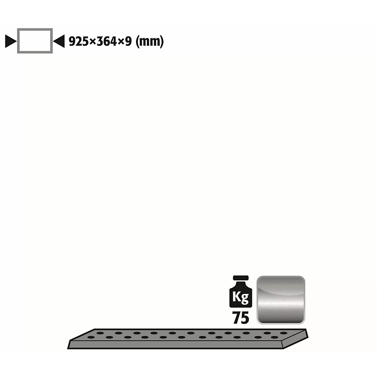 Lochblecheinsatz Standard für asecos Sicherheitsschränke der UB90 Serie, Edelstahl 1.4016, B 925 x T 364 x H 9 mm, bis 75 kg