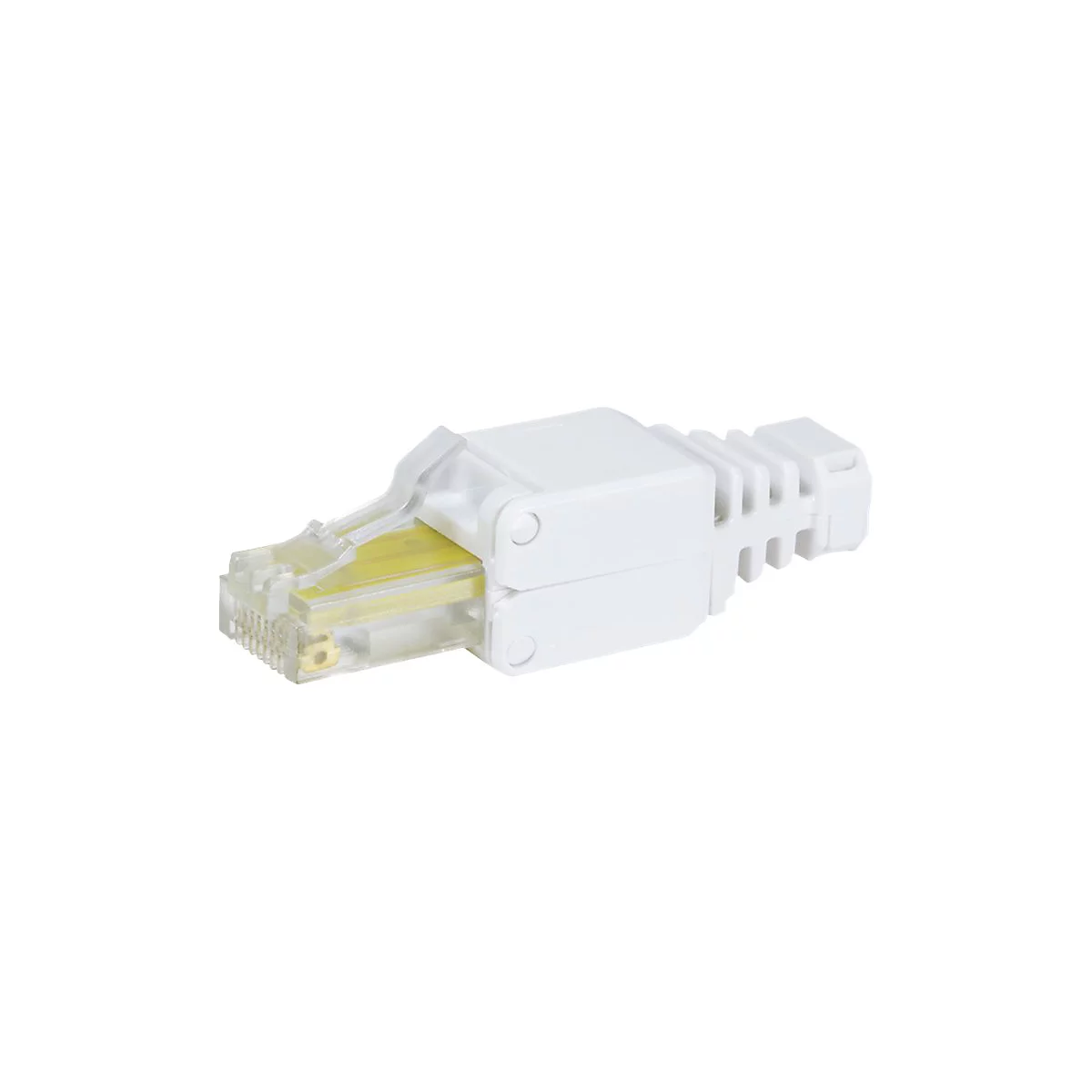 Ein weißer RJ45-Netzwerkstecker mit transparentem Kopf vor weißem Hintergrund.