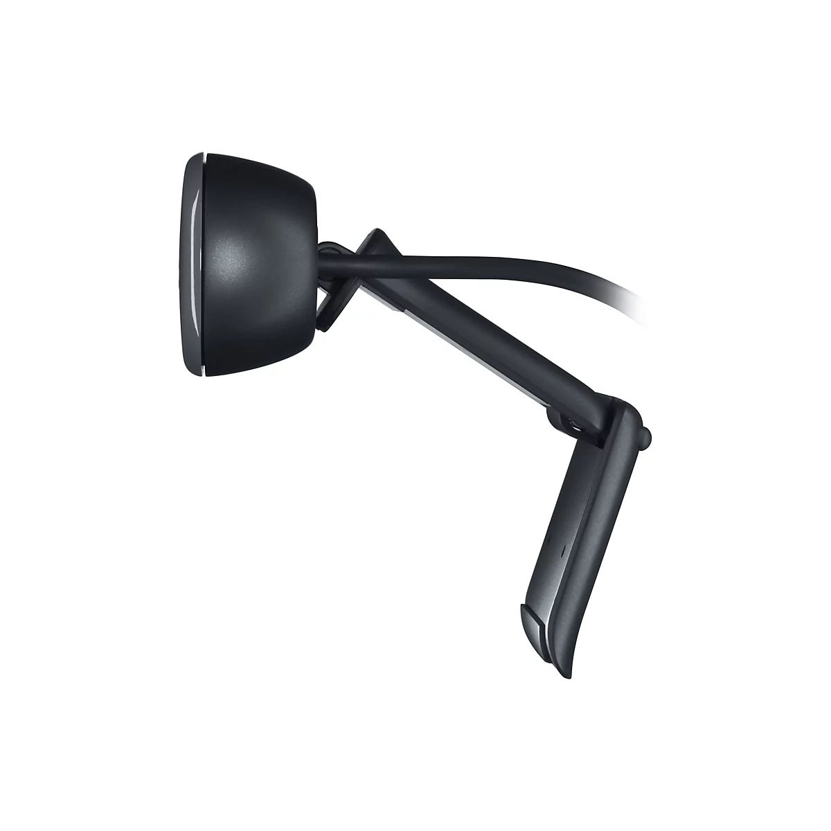Logitech C505e - Webcam