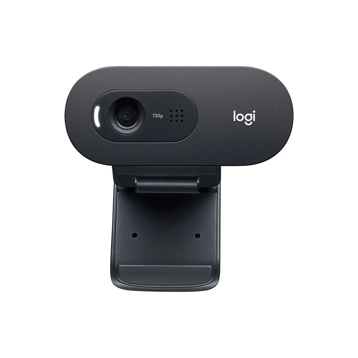 Logitech C505e - Webcam