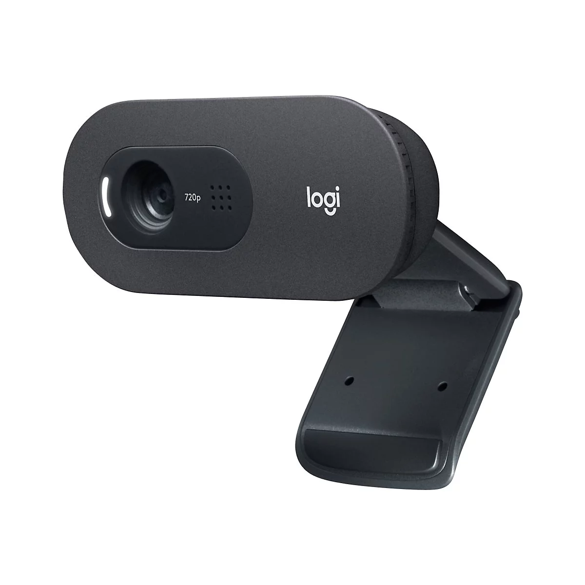 Logitech C505e - Webcam
