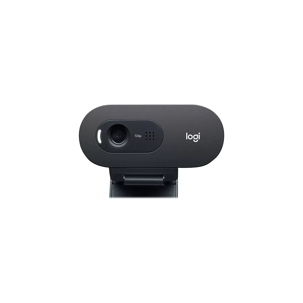 Logitech C505e - Webcam