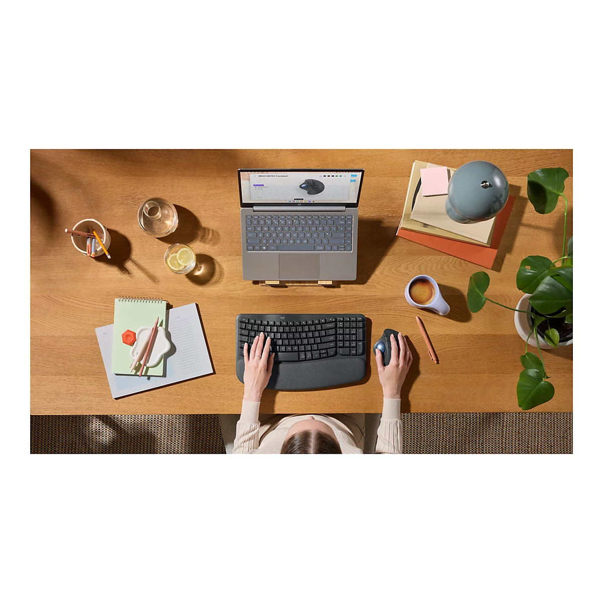 Draufsicht auf einen Schreibtisch mit Laptop, Tastatur und Maus. Daneben Kaffee, Notizblock und eine Pflanze.