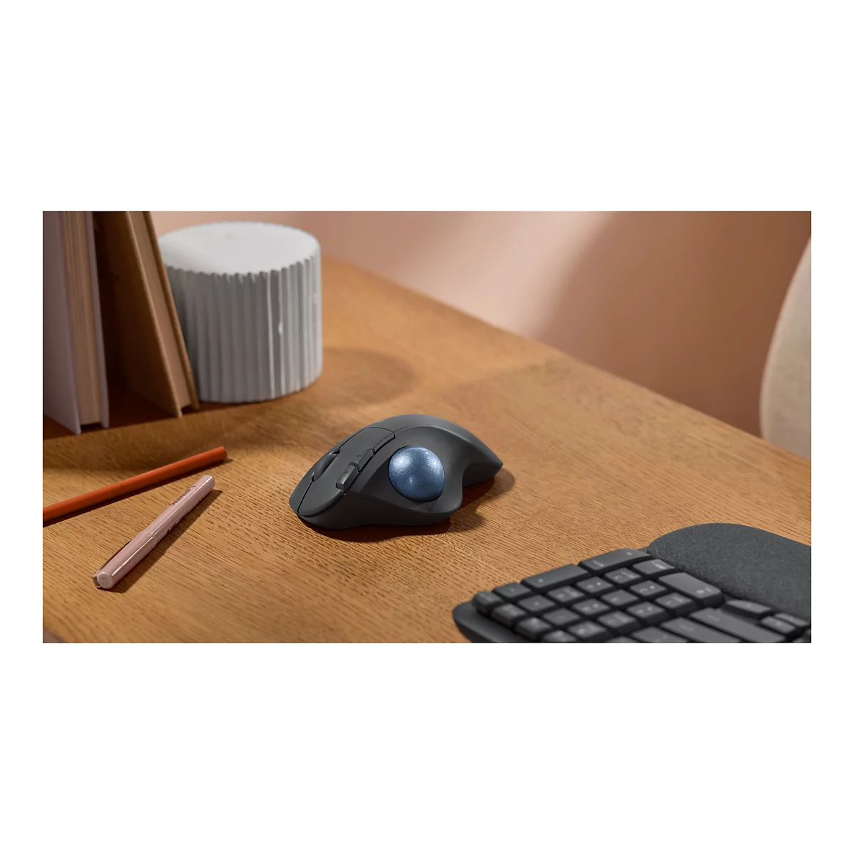 Ein ergonomischer Trackball-Maus auf einem Holztisch. Daneben: Tastatur, Stifte und Dekoration.
