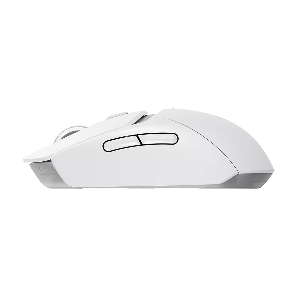 WeiÃŸe Maus, Seitenansicht, zwei KnÃ¶pfe. Hellgraue Kante, graues Scrollrad. Neutraler Hintergrund.