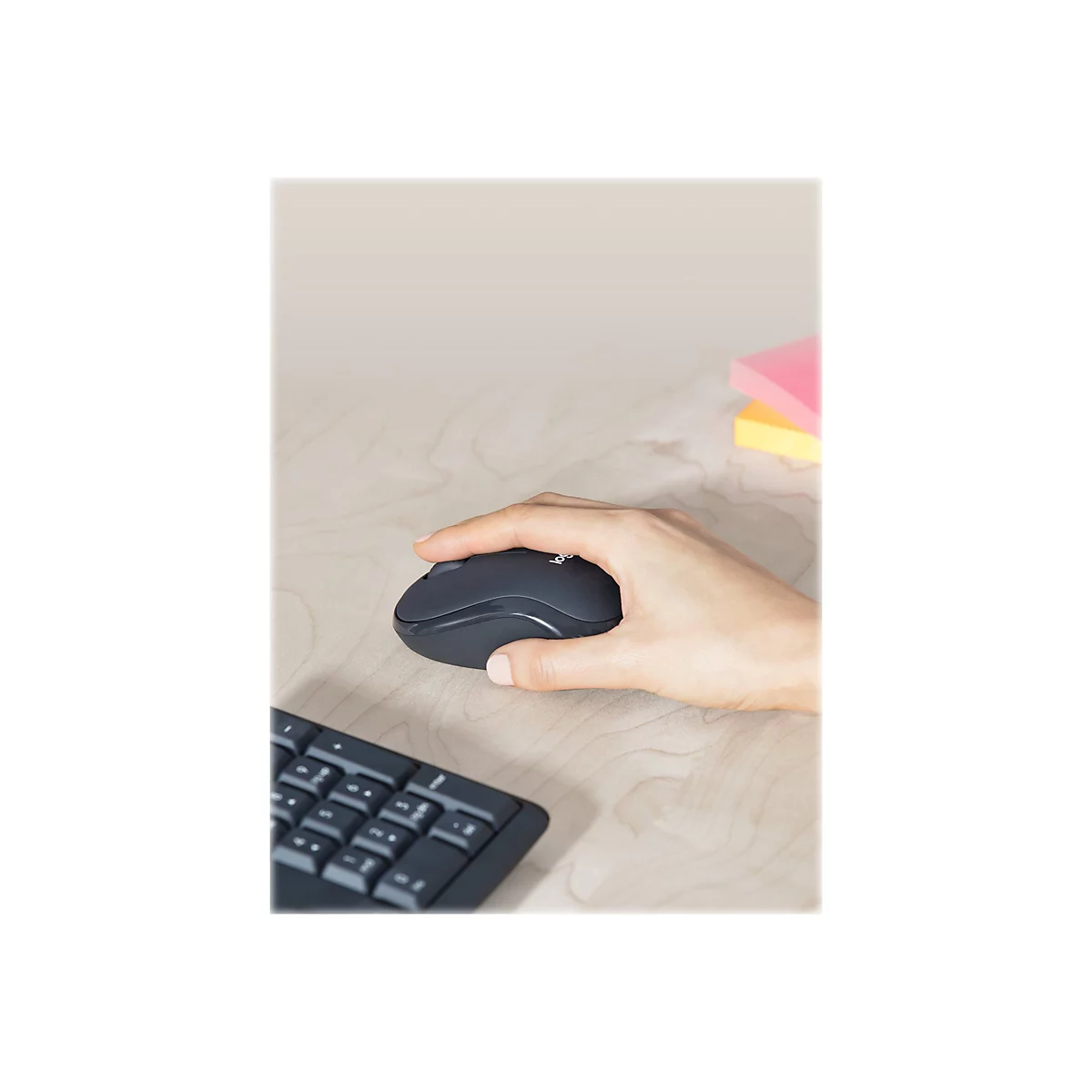 Logitech MK295 Silent - Tastatur-und-Maus-Set - kabellos - 2.4 GHz - QWERTZ - Tschechisch