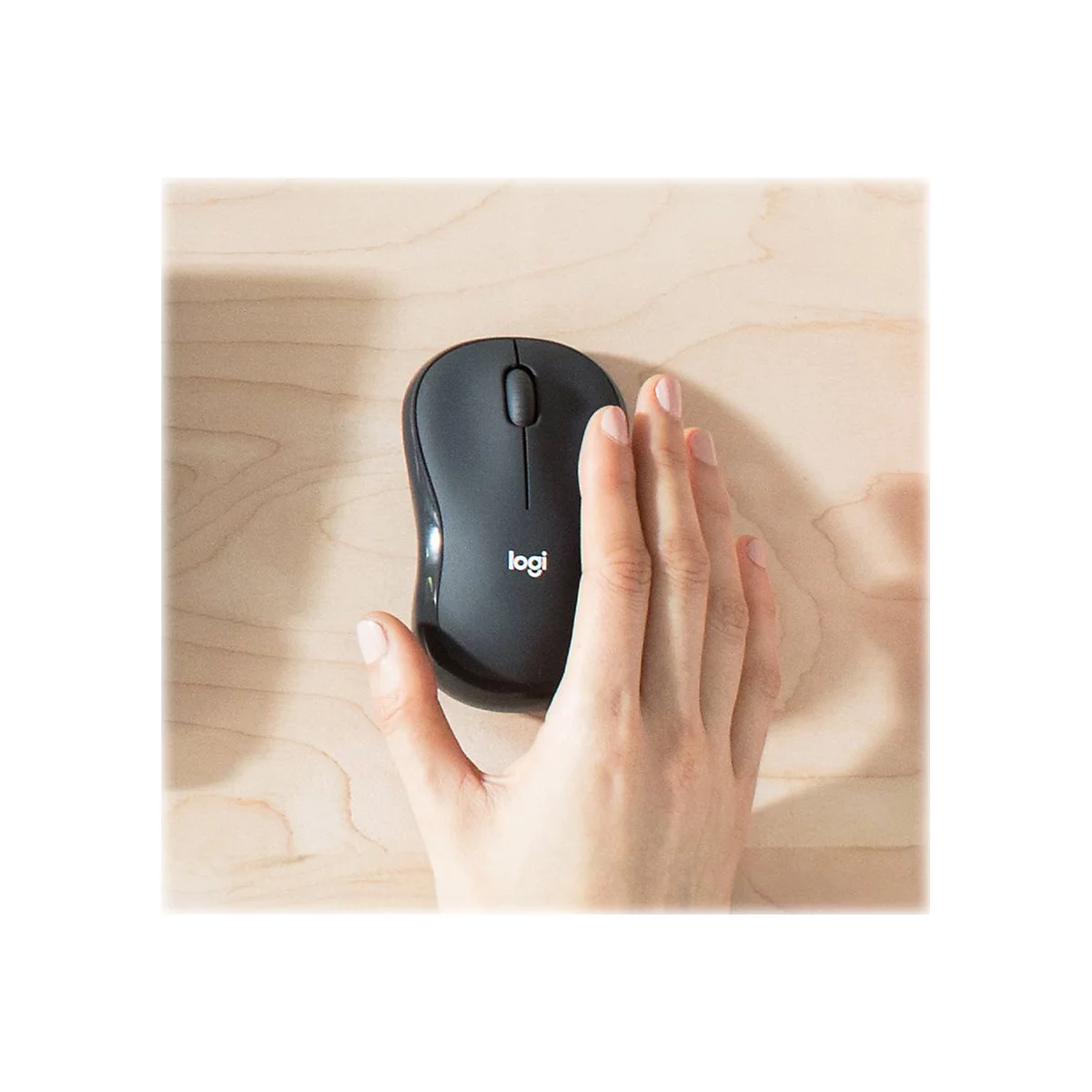 Logitech MK295 Silent - Tastatur-und-Maus-Set - kabellos - 2.4 GHz - QWERTZ - Tschechisch