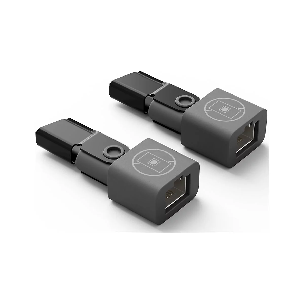 Zwei graue, eckige Adapter mit RJ45-Anschluss und USB-Stecker. Auf jedem Adapter ist ein Symbol eingraviert.