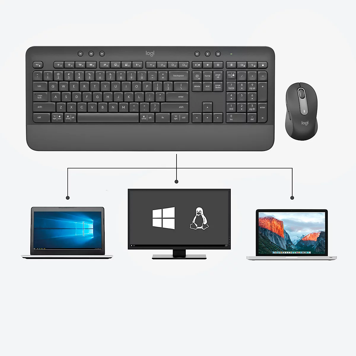 Logitech Signature MK650 Ensemble clavier et souris, Bluetooth 5.1, SmartWheel, technologie Silent-Touch, QWERTZ, noir