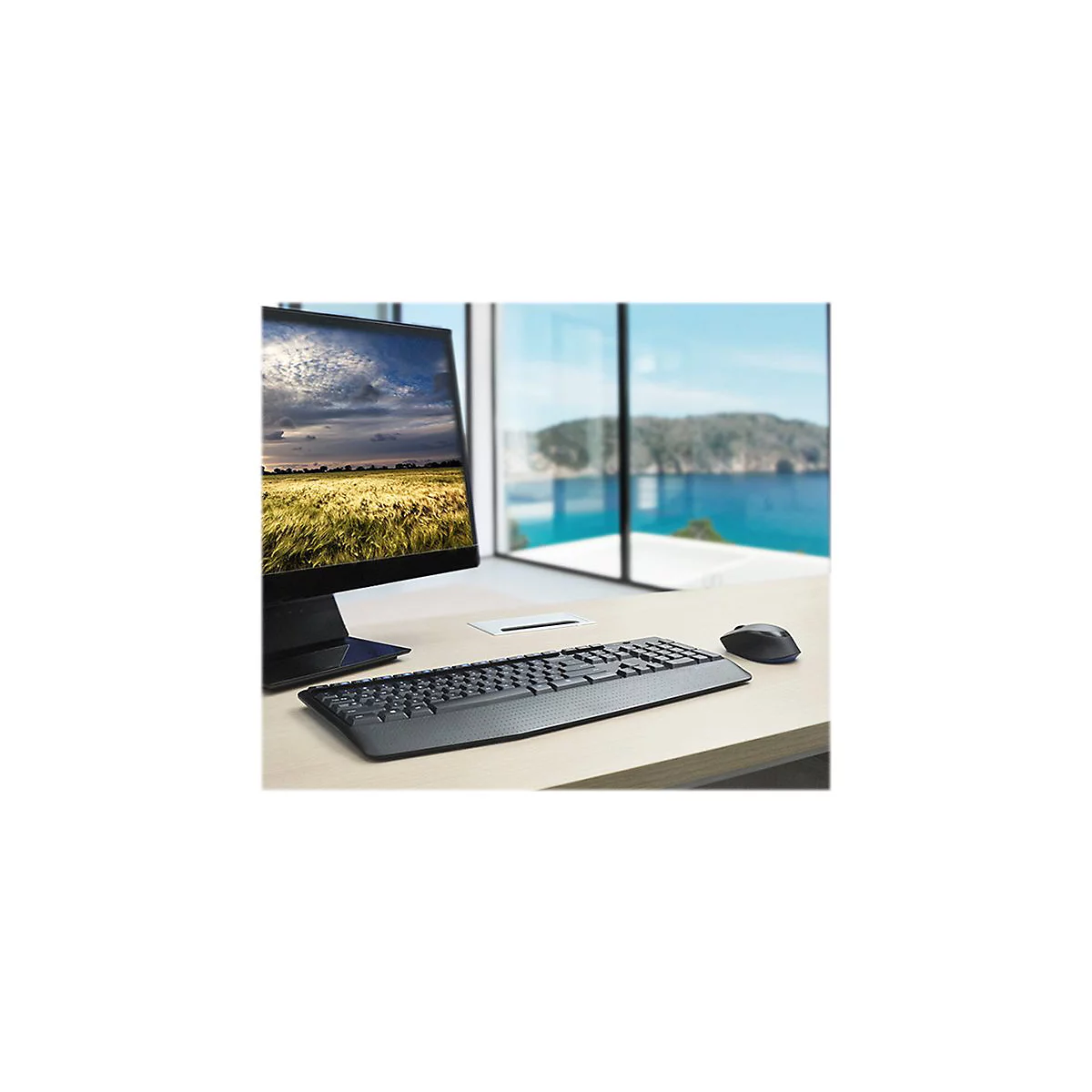 Logitech Wireless Combo MK345 - Tastatur-und-Maus-Set - US International - Schwarz, Blau