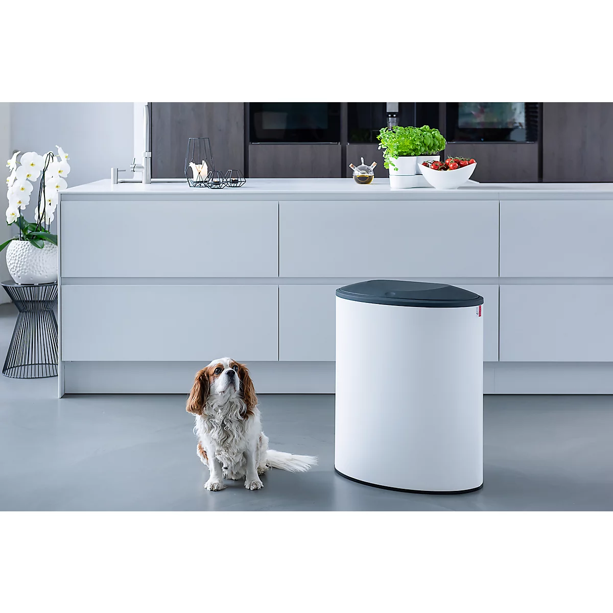 Lune design afvalbak Binc, staal, gesloten kunststof deksel, 50 l, 3 afvalstromen, verrijdbaar, B 360 x D 560 x H 680 mm, wit/zwart