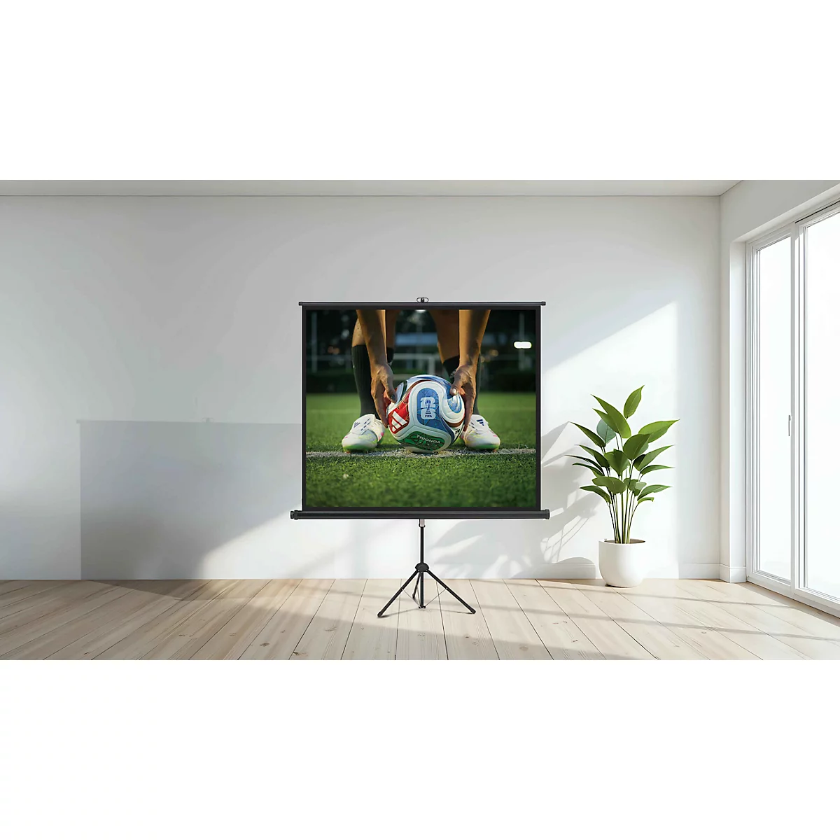 Beamer-Leinwand auf Stativ vor weißer Wand; zeigt Fußballer beim Ballauflegen auf dem Rasen.