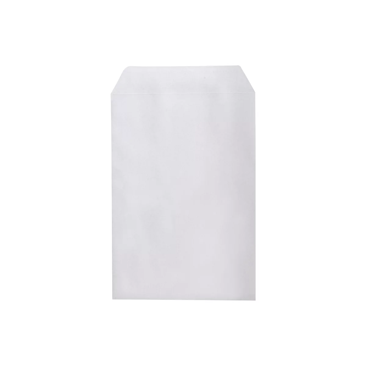 A white paper bag envelope. The top is slightly rounded.