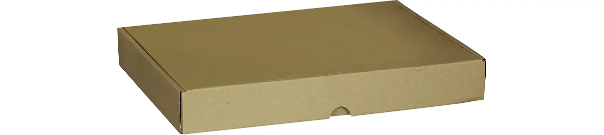 Maxibriefkartons-Versandschachteln, 233 x 170 x 45 mm, 50 Stück