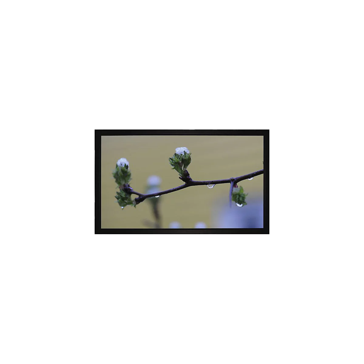 MEDIUM Frame Budget type D - Leinwand - geeignet für Wandmontage - 275 cm (108') - 16:9 - mattweiß