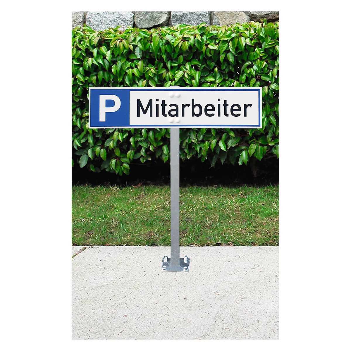 Parking sign with "P Employee" in front of a hedge.