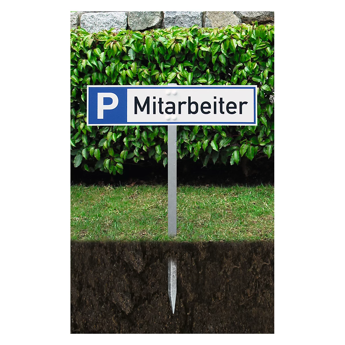 Parking sign 'Employees' in front of green plants. The sign is on a metal pole. The tip of the pole is anchored in the ground.