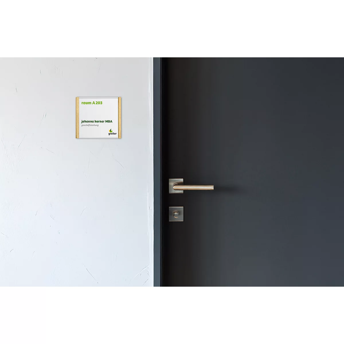 moedel Türschild LMH, Aluminium- und Holzrahmen, Holzart wählbar, Polyester-Abdeckung, Klebemontage, B 159,5 x H 150,5 mm, silber/Ahorn