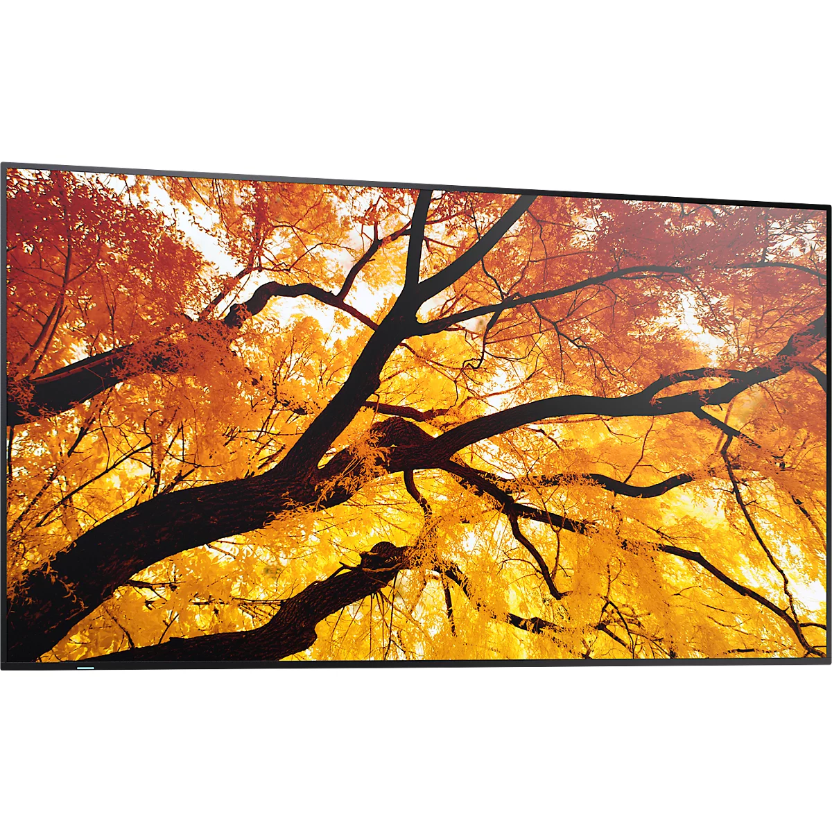 Gros plan d'une photo murale avec un arbre aux feuilles rouges et jaunes, sur un fond clair.